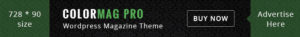 Logo for the Pro Magazine Theme with green and white text on a dark patterned background.