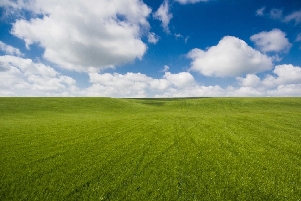 Lush green grassy hill under a bright blue sky with fluffy clouds.