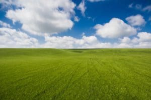 Lush green grassy hill under a bright blue sky with fluffy clouds.