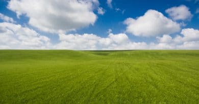 Lush green grassy hill under a bright blue sky with fluffy clouds.