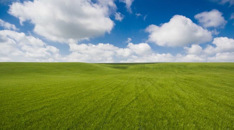 Lush green grassy hill under a bright blue sky with fluffy clouds.