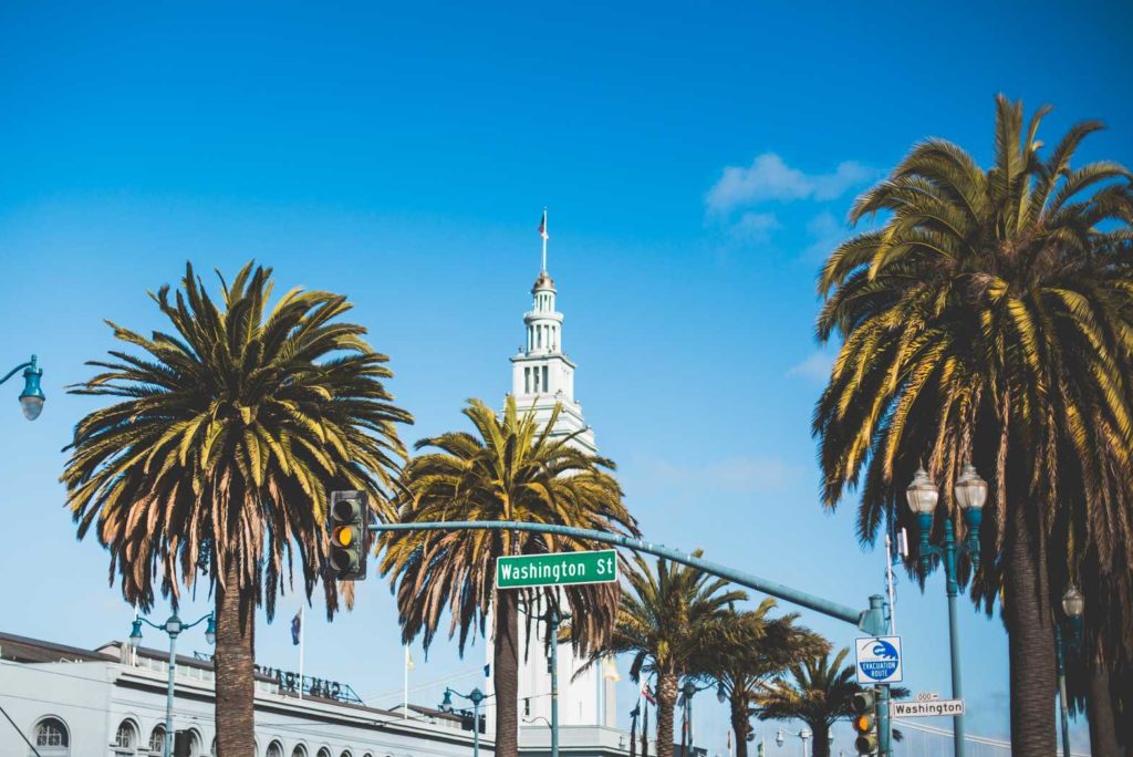 Palm trees line a street leading to a white clock tower under a clear blue sky.