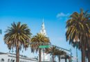 Palm trees line a street leading to a white clock tower under a clear blue sky.