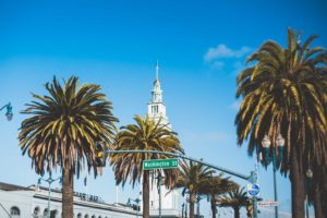 Palm trees line a street leading to a white clock tower under a clear blue sky.