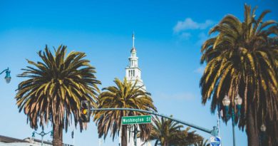 Palm trees line a street leading to a white clock tower under a clear blue sky.