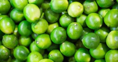 Close-up of fresh green peas packed tightly together.