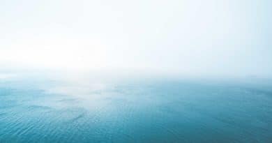 A serene ocean view with a soft gradient sky.