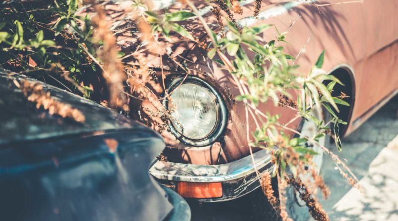 Rusty old car headlight covered by branches and leaves.