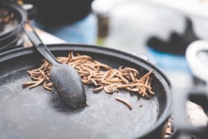 Spoon scooping dried mealworms from a pan.