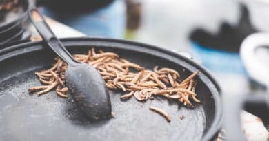 Spoon scooping dried mealworms from a pan.