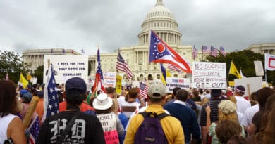 Crowd gathers at the U.S. Capitol with various flags and protest signs.