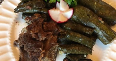 Grilled meat served with stuffed grape leaves and a radish garnish.