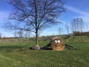 Hay bale decorated as a cute owl in a grassy area.