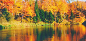Autumn trees with vibrant orange leaves reflecting on a calm lake.