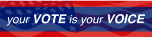 Patriotic message urging people to vote in an American-themed design.
