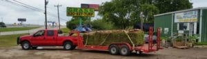 A trailer loaded with turf rolls for landscaping.