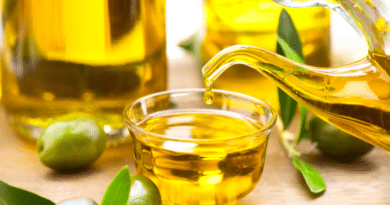 A small glass bowl filled with olive oil surrounded by green olives and olive branches.