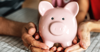 Person holding a pink piggy bank with both hands.