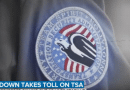 TSA agent's uniform patch with patriotic eagle and flag design.