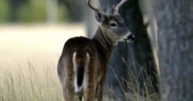 Make safety a priority this hunting season Make safety a priority this hunting season