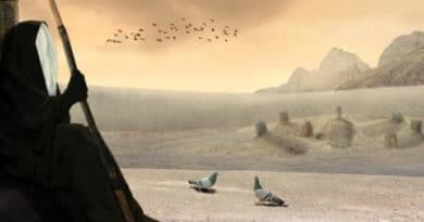 A figure in dark robes watches birds flying over a foggy, rocky shoreline.