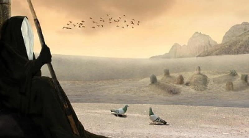 A figure in dark robes watches birds flying over a foggy, rocky shoreline.