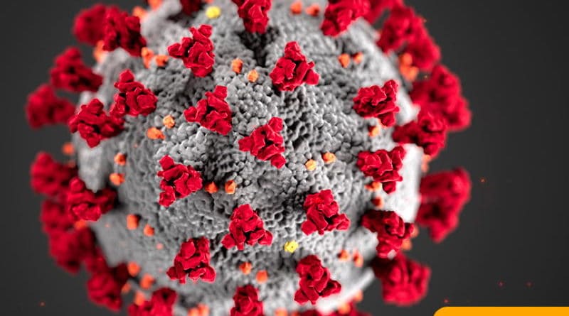 Close-up of the COVID-19 virus with red spike proteins.