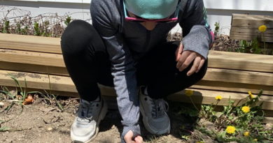 Person crouching outdoors, picking flowers.