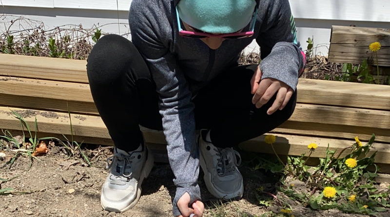 Person crouching outdoors, picking flowers.