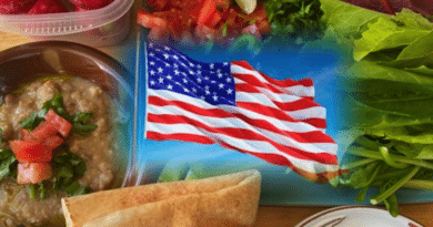 A vibrant American flag surrounded by Mediterranean food.