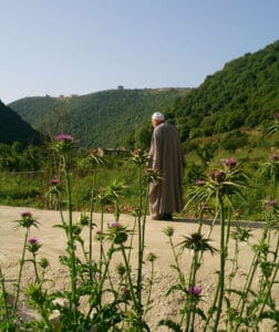The illuminated facade of Al-Ajami Restaurant at night.