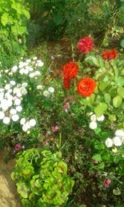 The illuminated facade of Al-Ajami Restaurant at night.