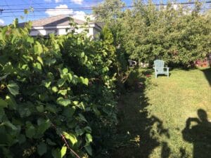 The illuminated facade of Al-Ajami Restaurant at night.